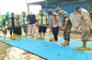 Panen Raya Munungrejo, TNI Lamongan dan Petani Kompak Perkuat Ketahanan Pangan