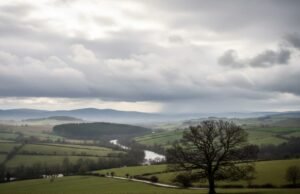 Prakiraan Cuaca Bojonegoro Sabtu Ini, Aman Tanpa Bencana