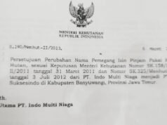 Tak Hanya IUP OP, Perubahan IPPKH Tambang Tumpang Pitu Banyuwangi Juga Disorot