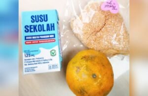 Orang Tua Siswa Soko Tuban Pertanyakan Menu MBG, Benarkah Rp15 Ribu Per Anak