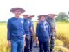 Tahan Kering dan Cepat Panen, Padi Gamagora 7 Jadi Harapan Baru Petani Bojonegoro