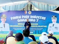 Produksi Padi Bojonegoro Melonjak 24,7 Persen, Siap Jadi Tertinggi di Indonesia