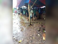 Judi Sambirejo Banyuwangi Kembali Disorot, Publik Minta Klarifikasi Resmi