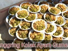 Pemuda Gumeno Manyar Gresik Wajib Tahu, Sejarah Kolak Ayam Sanggring dari Sunan Dalem