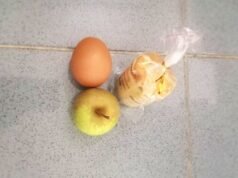 Hanya Telur dan Apel Kecil, Program MBG di TK dan PAUD Tikusan Bojonegoro Dinilai Tak Layak Konsumsi