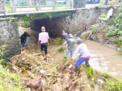 Laporan Warga Ditindak, Pohon Tumbang di Sungai Ngampel Kota Kediri Akhirnya Dibersihkan