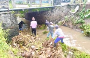 Laporan Warga Ditindak, Pohon Tumbang di Sungai Ngampel Kota Kediri Akhirnya Dibersihkan