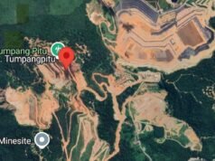 Dosa Ekologi Tumpang Pitu Banyuwangi: Saat Hutan Lindung Dipaksa Jadi Area Tambang Terbuka