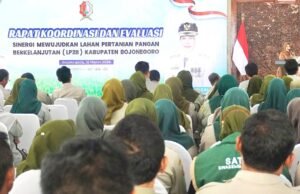 Bojonegoro Perkuat Ketahanan Pangan, 87 Persen Sawah Ditarget Jadi Lahan Pertanian Abadi