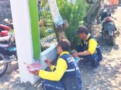 DLH Bojonegoro Gaspol Percantik Kota, Sambut Pemudik dengan Wajah Baru