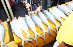 Momen Seru Gubernur Khofifah di Pasar Bandeng Gresik: Bagi Ikan hingga Uang ke Anak-anak