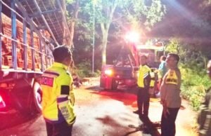 Diduga Kurang Hati-hati, Truk Ayam Ringsek di Kawasan Hutan Bubulan Bojonegoro