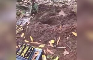 Terungkap, Makam yang Dibongkar di Sumberarum Dander Bojonegoro Ternyata Baru Dimakamkan