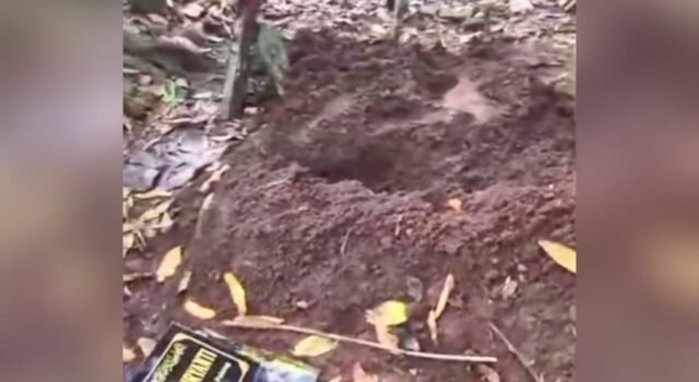 Terungkap, Makam yang Dibongkar di Sumberarum Dander Bojonegoro Ternyata Baru Dimakamkan