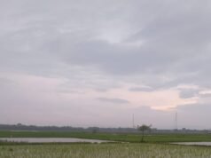 Prakiraan Cuaca Bojonegoro Jumat Ini, Siang Hujan Ringan hingga Malam Berawan