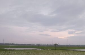 Prakiraan Cuaca Bojonegoro Jumat Ini, Siang Hujan Ringan hingga Malam Berawan