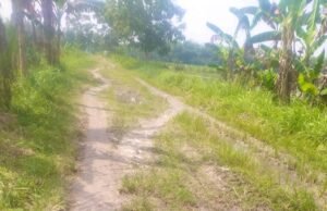Akses Penting Antar Desa Rusak, Warga Baureno Bojonegoro Minta Segera Diperbaiki