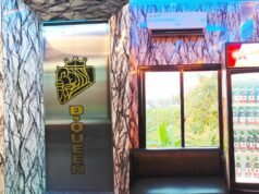 Karaoke D Queen Bojonegoro Disorot, Soal Izin Usaha hingga Miras Dipertanyakan