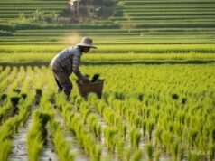 Strategi Hadapi Kemarau 2026, Ini 5 Langkah Penting dari Bupati Bojonegoro