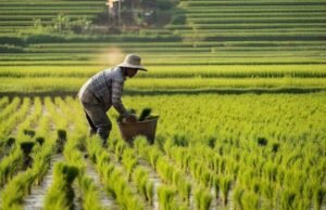 Strategi Hadapi Kemarau 2026, Ini 5 Langkah Penting dari Bupati Bojonegoro