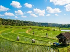 Update BMKG: Cuaca Bojonegoro Cerah Seharian