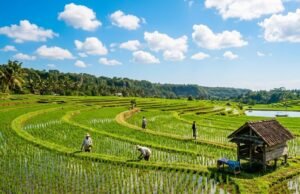 Update BMKG: Cuaca Bojonegoro Cerah Seharian