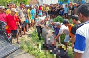 Motor Hilang Kendali di Tlogoagung Kedungadem Bojonegoro, Berakhir Meninggal
