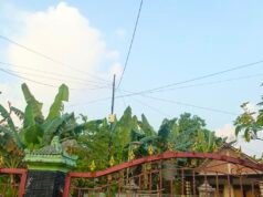 Update Cuaca Bojonegoro: Siang Panas Malam Mulai Berawan