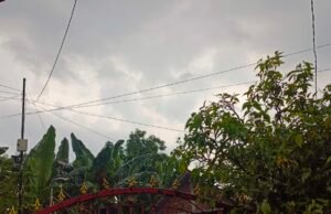 BMKG Ingatkan Hujan Sedang di Bojonegoro Sore Ini, Warga Diminta Waspada