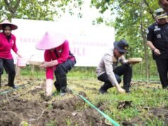 Polres Bojonegoro Tanam Jagung di Hutan, Kolaborasi Ini Jadi Sorotan