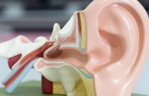 Kasus Gangguan Pendengaran Naik di Usia Muda, Ini Penyebab Utamanya