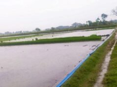 Cuaca Bojonegoro Hari Ini Didominasi Berawan, Siang Berpotensi Hujan Ringan