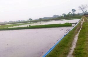 Cuaca Bojonegoro Hari Ini Didominasi Berawan, Siang Berpotensi Hujan Ringan