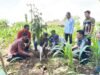 Gondang Bojonegoro Targetkan Satu Rumah Satu Durian, Siap Jadi Kampung Premium