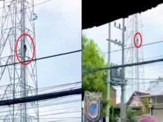 Pria Asal Sleman Panjat Tower di Sidoarjo, Damkar Turun Tangan Evakuasi Dramatis