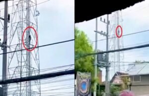 Pria Asal Sleman Panjat Tower di Sidoarjo, Damkar Turun Tangan Evakuasi Dramatis