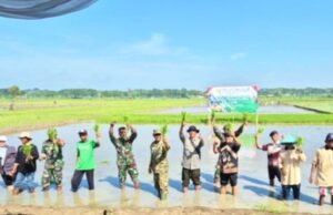 Inovasi dan Spiritualitas Bersatu, Jurus Bojonegoro Amankan Produksi Padi