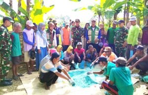 Sinergi TNI dan Petani Sugio Lamongan Tekan Hama Tikus di Lahan Padi