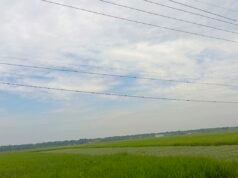 Cuaca Bojonegoro Hari Ini: Pagi Cerah, Siang Diguyur Hujan