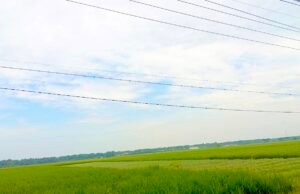 Cuaca Bojonegoro Hari Ini Berawan Seharian, Bengawan Solo Justru Surut