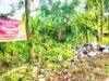 Sampah Liar Menumpuk di Balenrejo Bojonegoro, Warga Geram