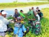 Tanggul Tambak Liar di Lamongan Dibongkar Demi Sawah Petani