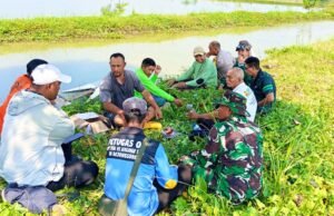 Tanggul Tambak Liar di Lamongan Dibongkar Demi Sawah Petani