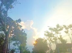 Cuaca Bojonegoro Hari Ini Cerah Seharian