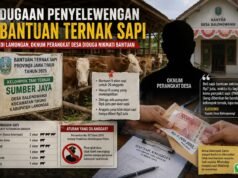 Bantuan Sapi Pemprov Jatim di Lamongan Disorot, Diduga Tak Tepat Sasaran