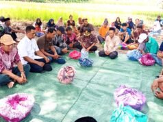 Sedekah Bumi Kedunglele Bojonegoro Meriah, Tradisi Tayub Jadi Sorotan
