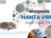 Hantavirus Mulai Diwaspadai di Bojonegoro, Kenali Gejala dan Pencegahannya