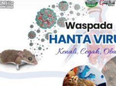 Hantavirus Mulai Diwaspadai di Bojonegoro, Kenali Gejala dan Pencegahannya