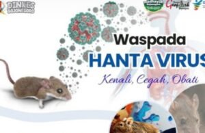 Hantavirus Mulai Diwaspadai di Bojonegoro, Kenali Gejala dan Pencegahannya