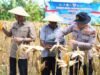 Ikuti Panen Raya Nasional, Kapolres Bojonegoro Serahkan Bibit Jagung ke Petani